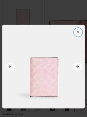 COACH Pink Leather Passport Holder